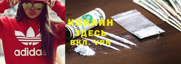 сатива Заводоуковск