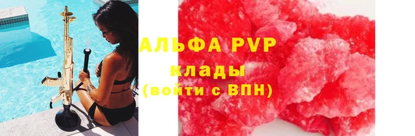 сатива Заводоуковск