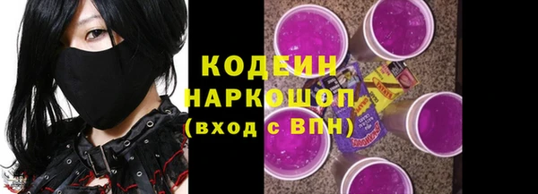сатива Заводоуковск