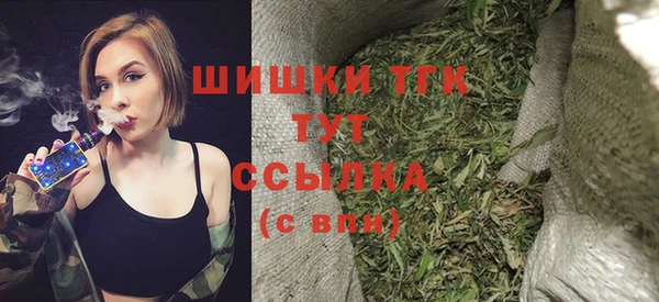 сатива Заводоуковск