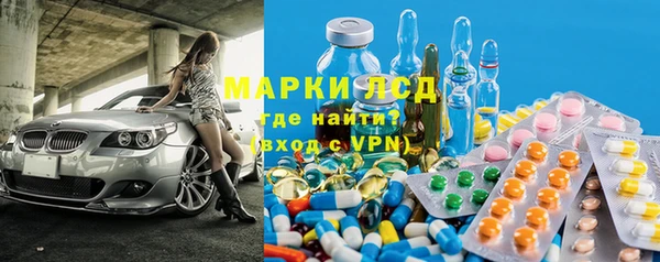 сатива Заводоуковск