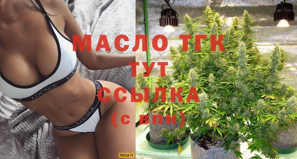 сатива Заводоуковск