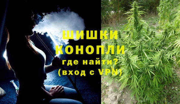 сатива Заводоуковск