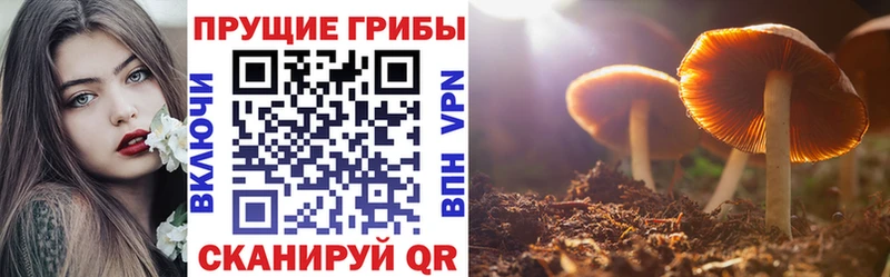 ссылка на мегу сайт  Коломна  Псилоцибиновые грибы ЛСД 